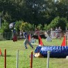 agility verriere 2011-10-01